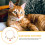 1Decoratieve Kattenhalsband Multikleur Met , Perfect Kittens 4