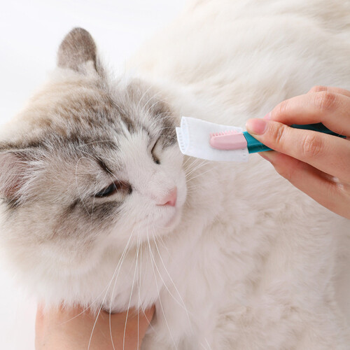 Draagbare Kattenkam Zachte Kattenverzorging 2