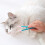 Draagbare Kattenkam Zachte Kattenverzorging 8