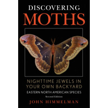 Discovering Moths Nighttime Jewels in Your Own Backyard Eastern North