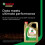 Castrol Castrol EDGE 0W-30, Advanced Fully Synthetic Engine Oil, Meets ACEA C2/C3 & API SQ Specifications, 1L 3