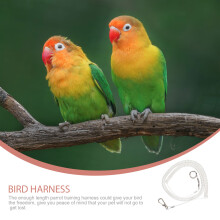 1Verstelbare Vogel Riem En Buitentraining