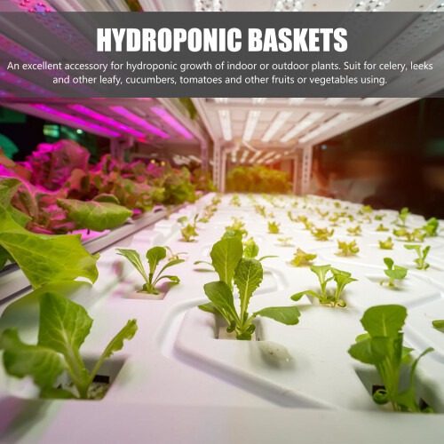 50St Hydroponische Groeibekers Wit Stevig Plastic Voor 2