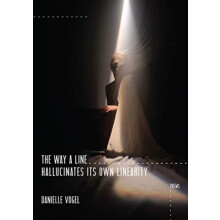 The Way a Line Hallucinates Its Own Linearity by Danielle Vogel Paperb
