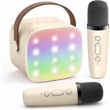 Système de karaoké portable avec micro sans fil, haut-parleur Bluetooth, machine à chanter et boombox à basses réflexes
