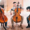 1St Professionele Cello Accessoire, Duurzame Ondersteuningsstaaf 3