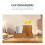 Disposable Cup Rack Met Opslag En Opberglade 5