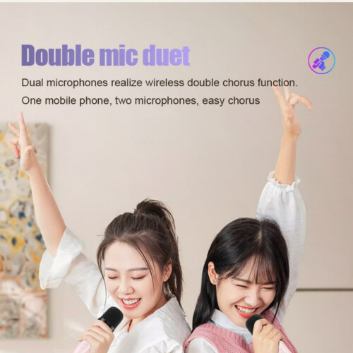 Draagbaar karaoke luidsprekersysteem met draadloze microfoon, bluetooth zangmachine en basreflex boombox 1