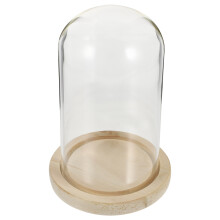 1Set Multifunctionele Dome Met Hout Voor Bloem En Ornamenten