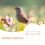 1Parrot Perch Standaard Vogelkooi Gebruik 5