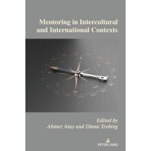 Mentoring in Intercultural and International Contexts Paperback Book