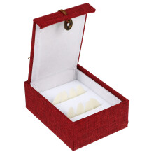 1Set Praktische Guzheng Fake Nails Voor Bescherming En Comfort