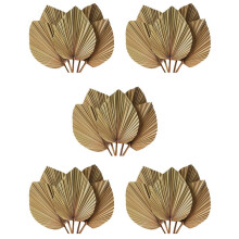 Dried Leaves Room Decor 25 Pieces - 18Inch H X 10Inch W Large Natural Leaf Decor for A Beautiful Boho