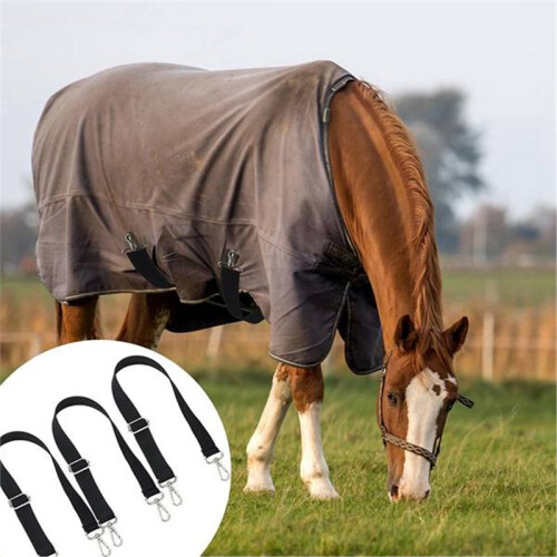 Conjunto de 8 Tiras Elásticas para Patas de Cavalo, com Fechos Giratórios Duplos, Comprimento Ajustável de 60 A 107 cm (24 A 42 Polegadas).