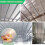 2X Double Reflective Insulation Foam, Reflective Window Radiant Barrier Bubble Insulation Roll for Keep Heat 6