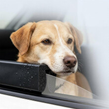 Auto-Kopfstütze für Hunde, weiche Schaumstoff-Reisestütze für Haustiere, werkzeuglose Montage, passend für Autofenster