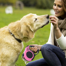Pet Telescopic Retractable Traction Rope, Ergonomic Non-slip Handle, for Cats and Small Dogs, Pink