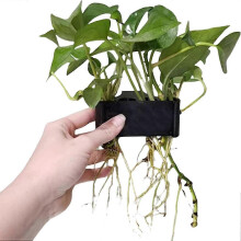 Supporto per piante acquatiche per acquari, vaso sospeso in ABS con ganci per piante d'acquario