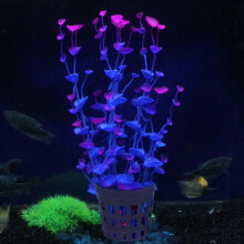 Cestini per piante acquatiche per acquario, confezione da 10, in plastica nera, 4,5x4,5x4 cm, con fori di drenaggio per la piantumazione