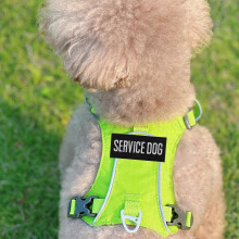 Embroidered Service Dog Harness, Adjustable Padded, Polyester, for Training Walking Traveling, 2 Pack Embroidered Patches