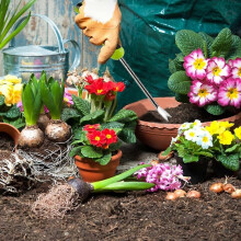 Unkrautstecher, 2er-Pack, zweizinkiger Handunkrautstecher aus Edelstahl mit ergonomischem Griff zur Unkrautentfernung im Garten
