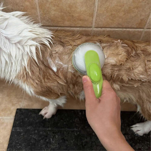 Pet Bath Brush with Liquid Dispenser, Massage Function and Long Handle 2