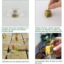 Steinwollwürfel 2,5 cm für die hydroponische Vermehrung von Blumen, Gemüse und Kräutern