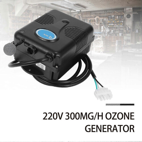 Ozone Generator 220V 300mg/hr for Bathtub Shower Spa Pool Compact Design 1