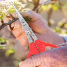 Tijeras de acero inoxidable para cortar uvas, 2 en 1 (cortador y pinzas), mangos ergonómicos para podar vides, recortar hojas y cosechar fruta.