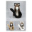 Accessoire de cheveux oreilles d'animaux doux de qualité-Noir 5
