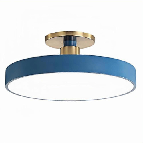 LED Ceiling Light 30cm Round Remote Dimmable Color Temperature for Bedroom Kitchen Hallway