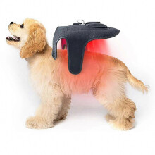 Cintura portatile a infrarossi per terapia del dolore e cura delle articolazioni degli animali domestici, con 42 LED.