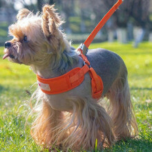Dog Harness Vest Adjustable Leash Puppy Chest Strip Walking Rope Polyester Mesh