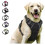 Ensemble collier et harnais pour grands chiens avec laisse 1