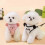 Adjustable Vest Dog Harness and Leash Set, Soft Mesh, Double Ring, Sizes S-XL 1