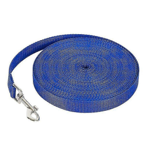 Nylon Dog Leash, 2cm x 3 Meter Blue Pet Lead for Walking