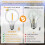 G40 E12 LED Bulb 1W DC12V for Solar String Lights Camping RV Off-Grid Lighting 4