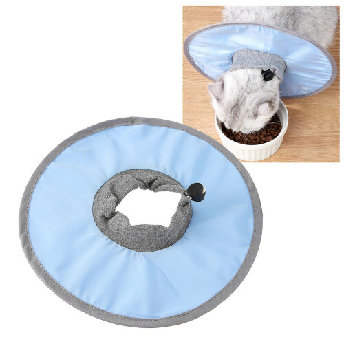Cat Recovery Collar Waterproof Adjustable Prevent Licking for Post Surgery Light Blue