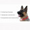 Rechargeable Waterproof Anti-Barking Dog Collar with Automatic Spray for Pet Training 4
