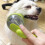 Pet Bath Brush with Liquid Dispenser, Massage Function and Long Handle 4