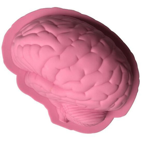 Silicone Halloween Brain Cake Mold Flexible 22cm Baking DIY