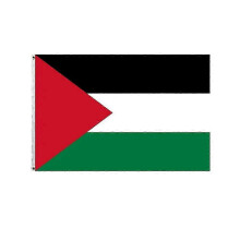 Palestine Flag 90x150cm Fabric National Flag for Decoration