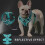 Dog Harness Vest No Pull Reflective Breathable Adjustable Set for Puppy 3