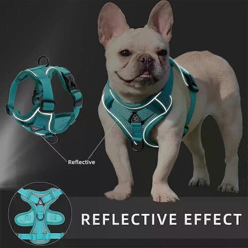 Dog Harness Vest No Pull Reflective Breathable Adjustable Set for Puppy 2