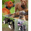Tactical Collar for Large Dogs with Handle, 2" Wide Nylon for Heavy Pullers 5