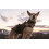 Tactical Collar for Large Dogs with Handle, 2" Wide Nylon for Heavy Pullers 3