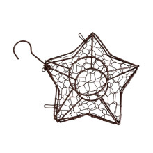 Hängender Pflanzkorb mit Pentagramm für drinnen und draußen, rustikales Eisendesign