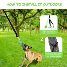 Ensemble de jouets à mâcher pour chien avec corde élastique et balle pour jouer à l'intérieur et à l'extérieur