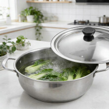 Universal Replacement Pot Lid 22cm Compatible with Stainless Steel Bakelite Knob