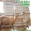 Automatic Fly Repellent Dispenser 6 Pack for Barns Farms Stables Mosquito Control with Interval Timer 1